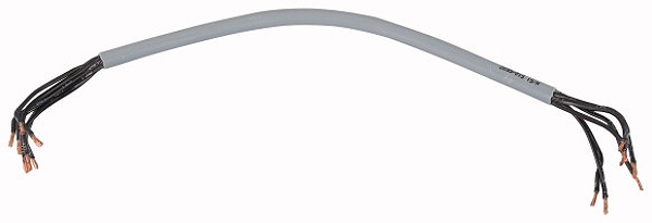 Article image 226858