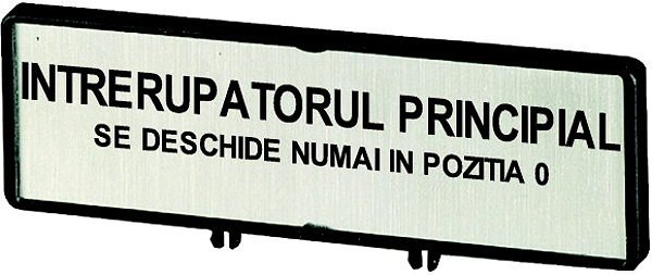 Article image 205559