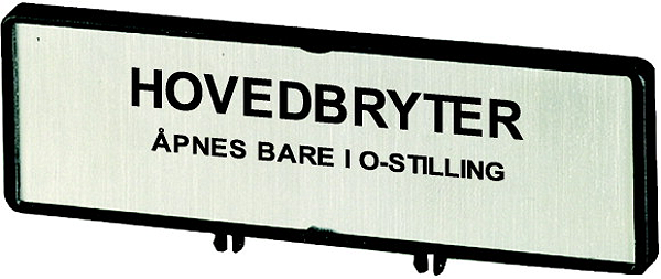 Article image 205556