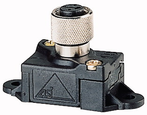 Article image 082667