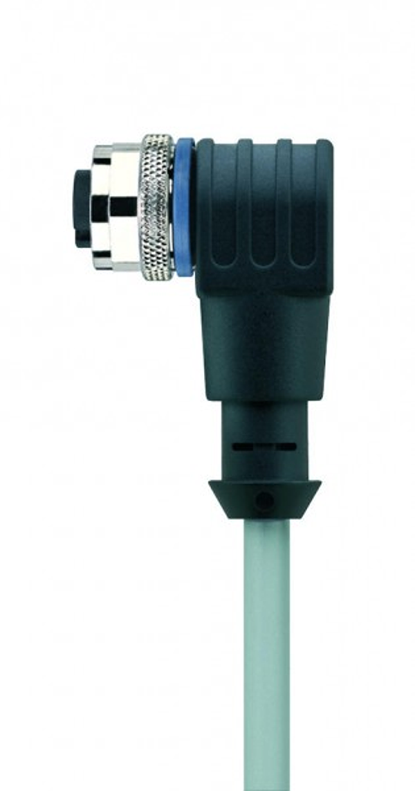 Article image 8051313