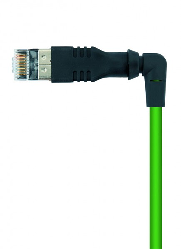 Article image 8080684