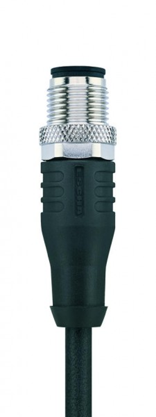 Article image 8046224