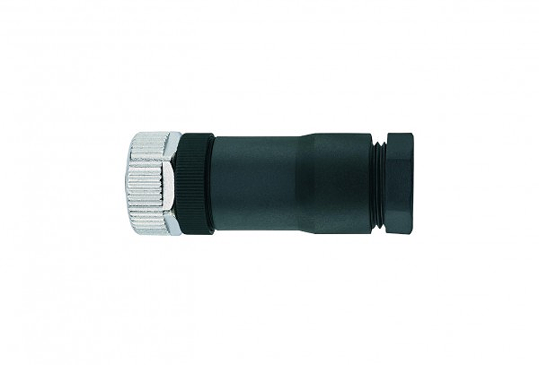 Article image 8063400