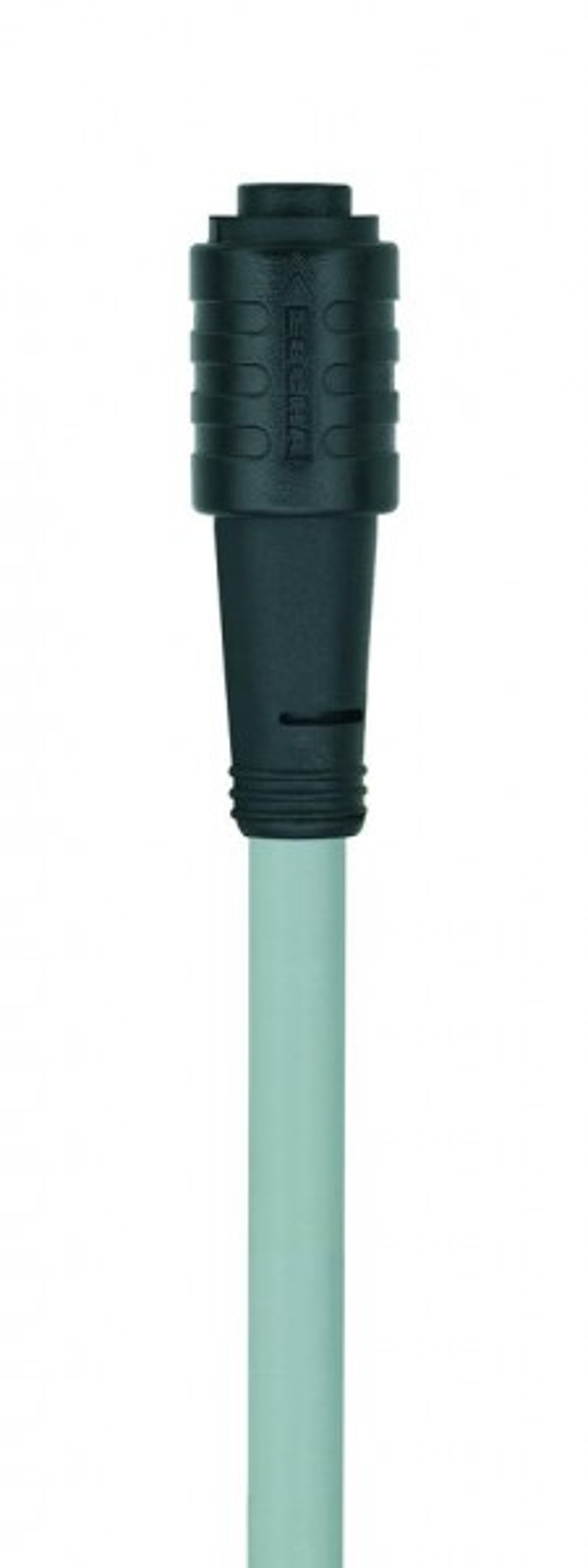 Article image 8052708