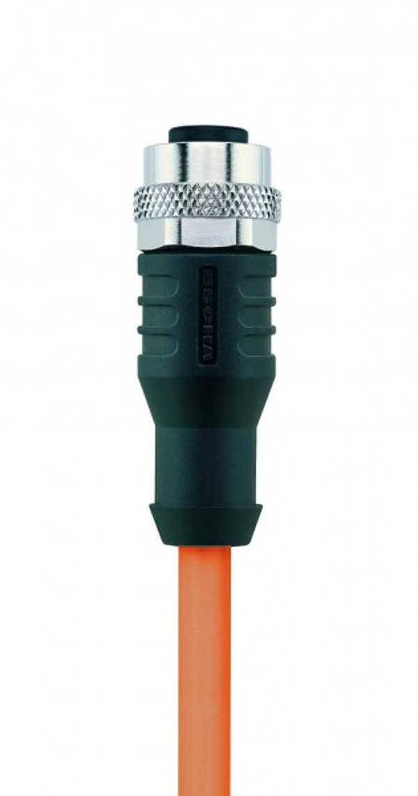 Article image 8058864