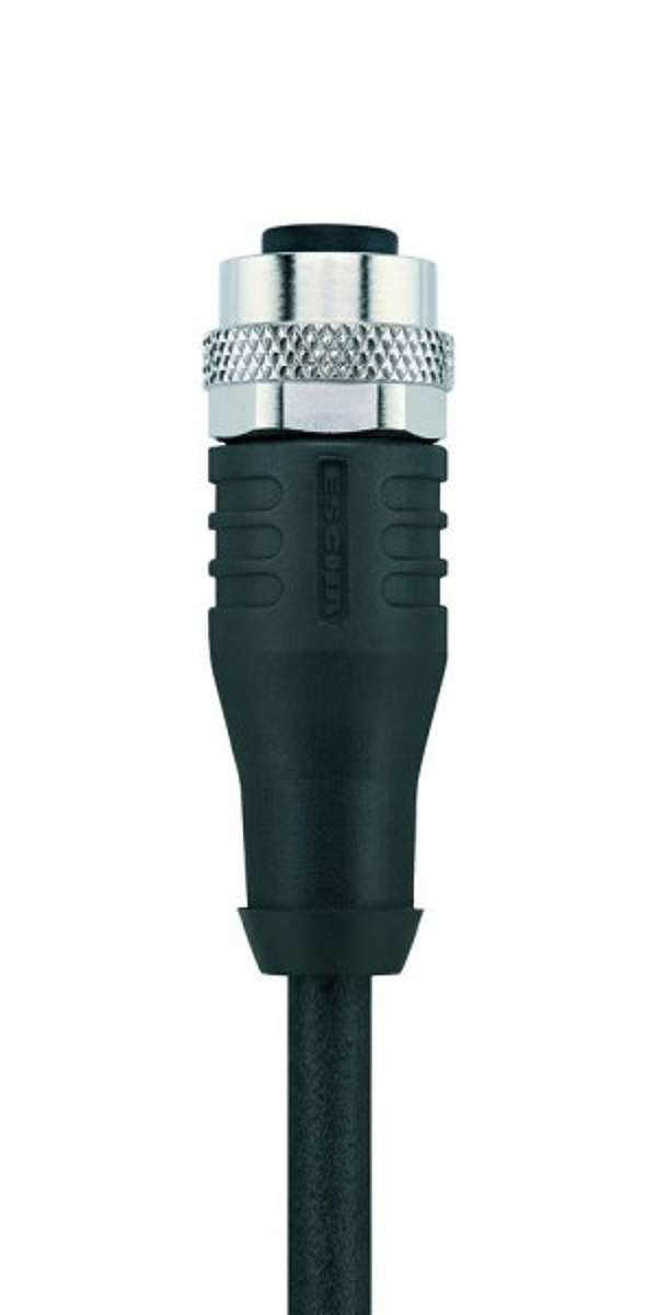 Article image 8046218