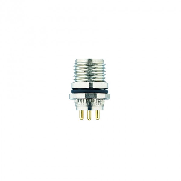 Article image 8073387