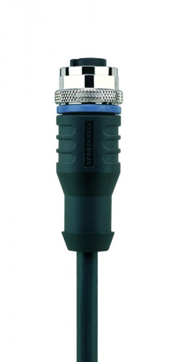 Article image 8046951