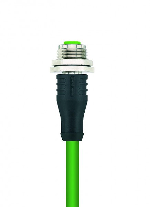 Article image 8061148