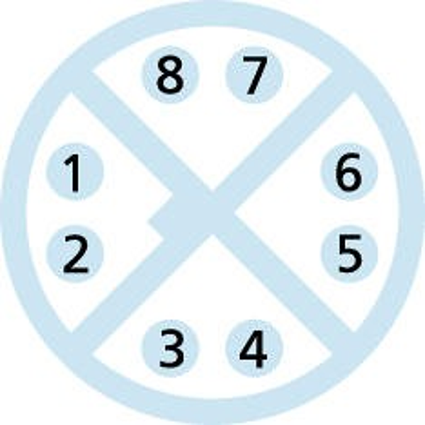 Article image 8049460