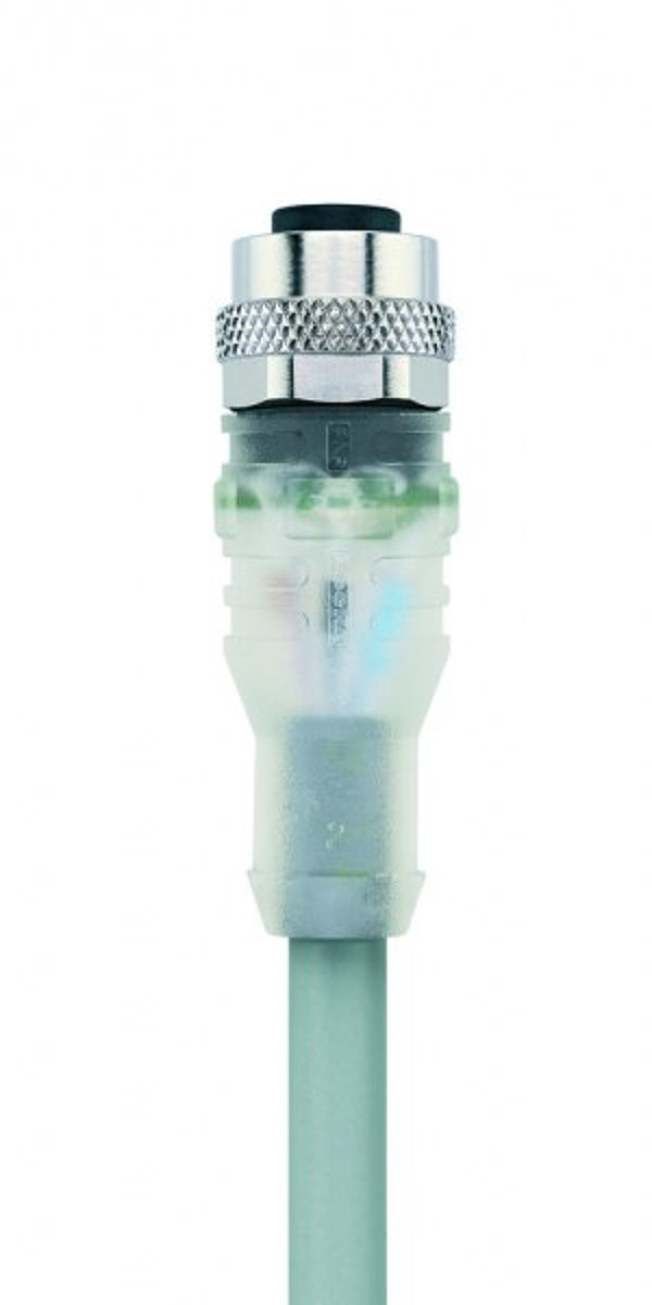 Article image 8052518