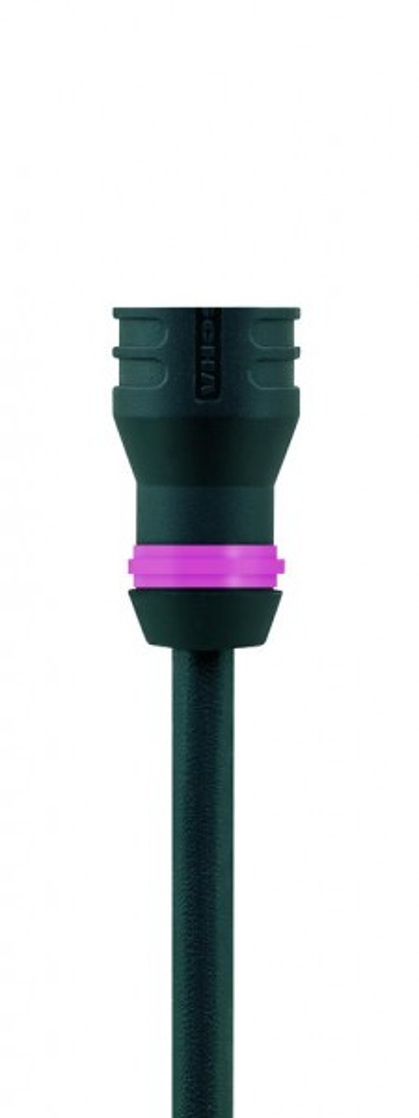 Article image 8063532