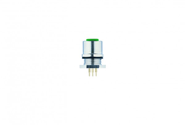 Article image 8074846