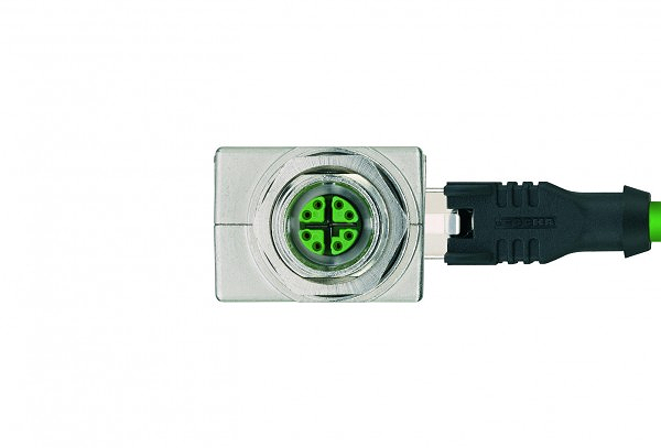 Article image 8055774