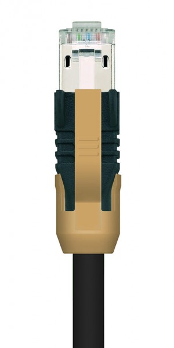 Article image 8071948