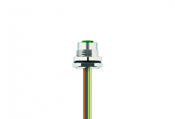 Article image 8072504