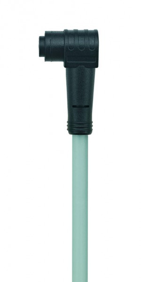 Article image 8049767