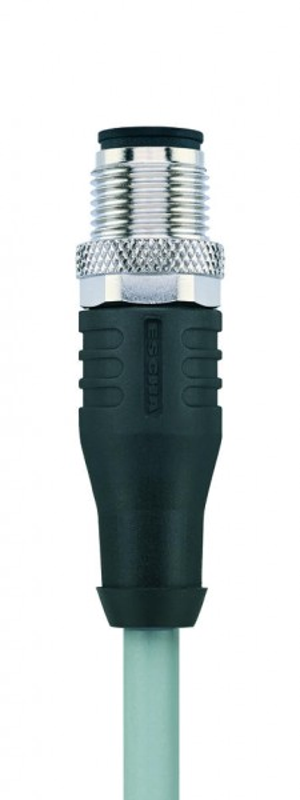 Article image 8051171