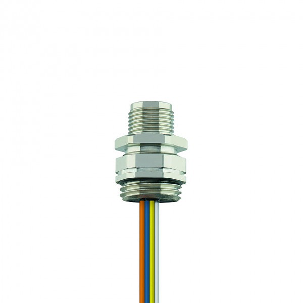 Article image 8077968