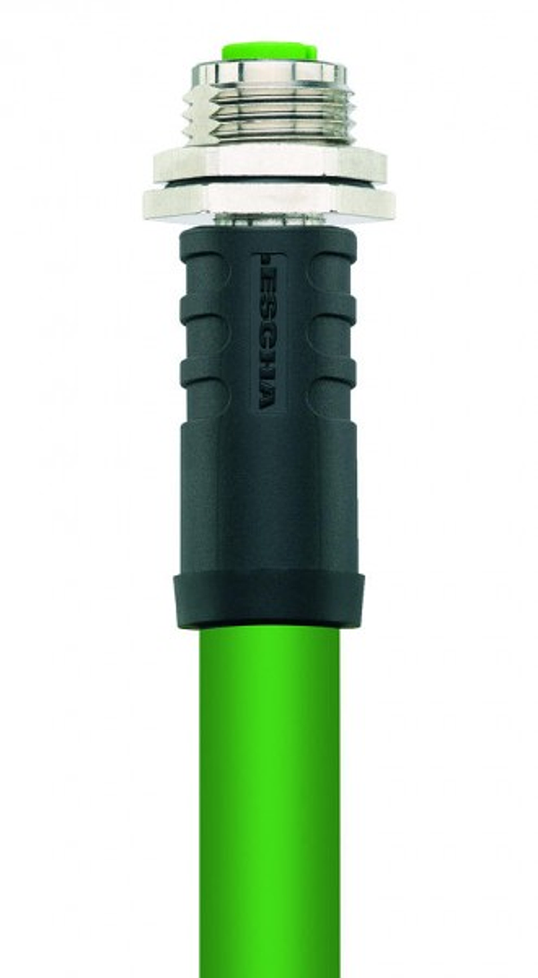 Article image 8063584