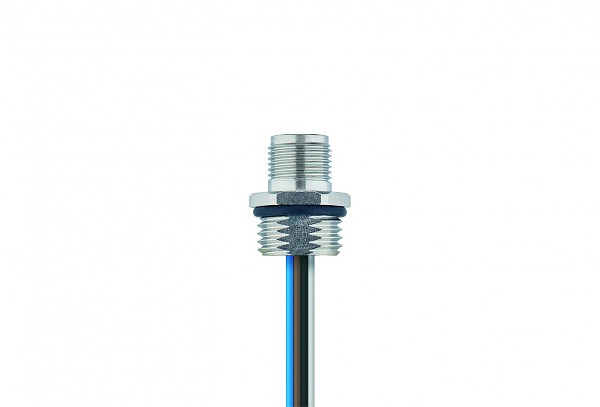 Article image 8071801