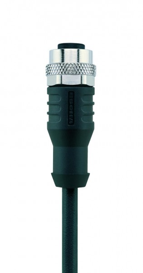 Article image 8047533