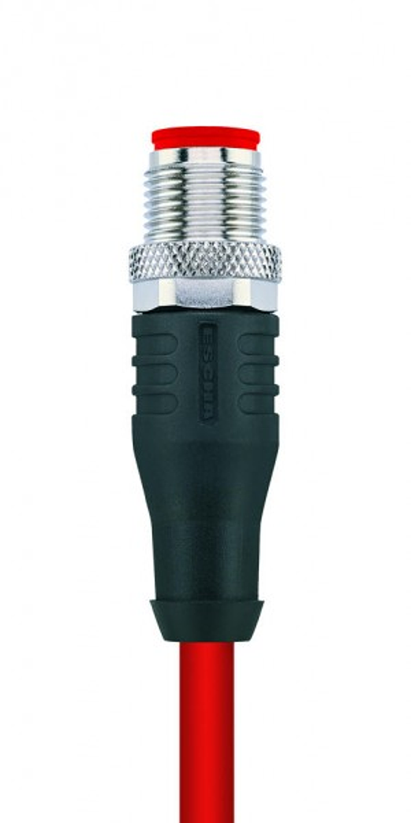 Article image 8055504