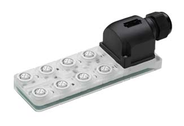 Article image 50130994