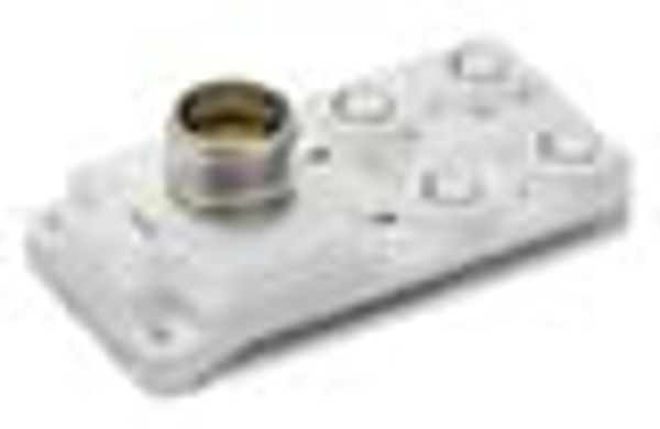 Article image 50130606