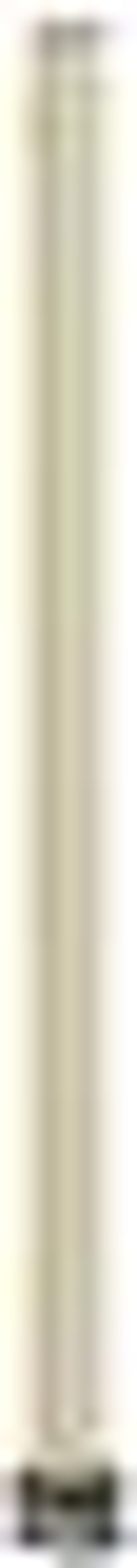 Article image 549783