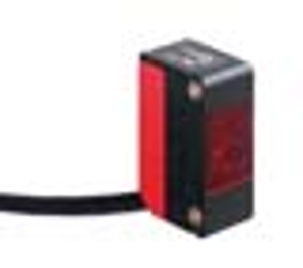 Article image 50128203