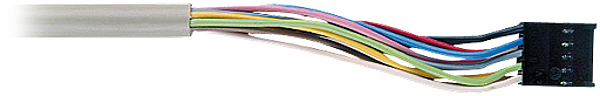 Article image 556510