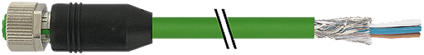 Article image 7000-15551-8312000