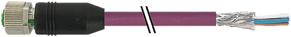 Article image 7000-14044-8031100