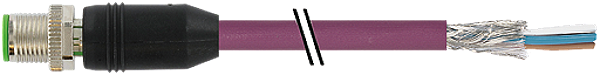 Article image 7000-13103-8031800
