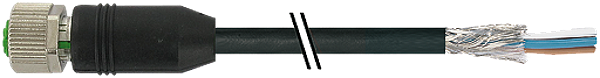 Article image 7000-13201-6011500