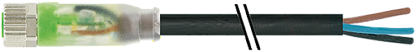 Article image 7000-08111-6302500
