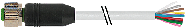 Article image 7000-19041-3023000
