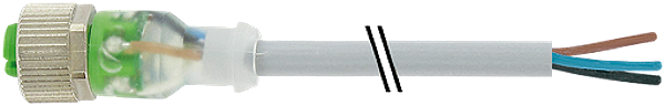Article image 7000-12261-2130150