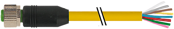 Article image 7000-17041-1143500
