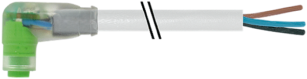 Article image 7000-08281-2100500
