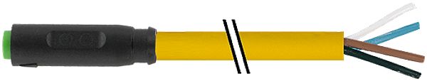 Article image 7000-08221-0210300