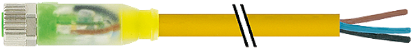 Article image 7000-08111-0200150