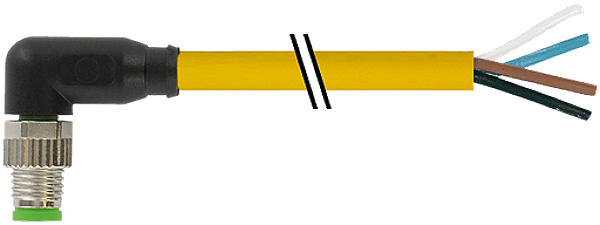 Article image 7000-08031-0110300