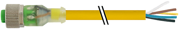 Article image 7000-12251-0351500