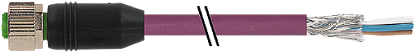 Article image 7000-13225-8030583
