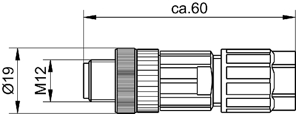 Article image 44505132600