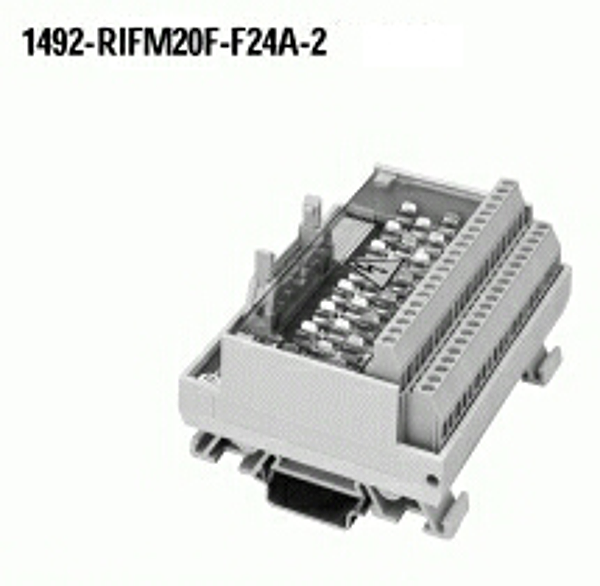 Article image 1492-RIFM20F-F24A-2