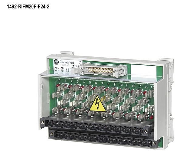 Article image 1492-RIFM20F-F24-2